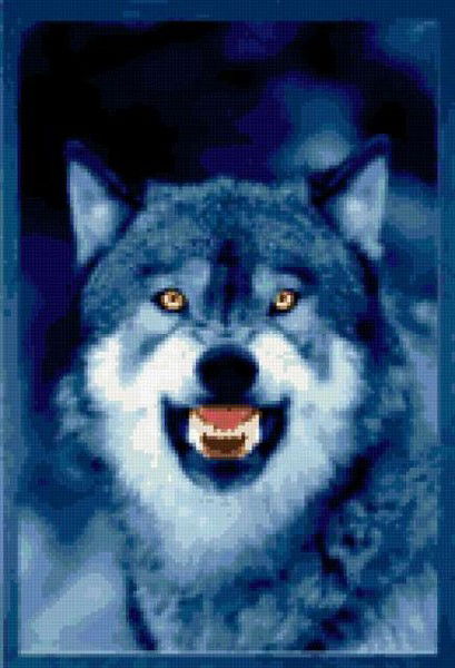 Владимир Волков