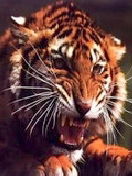 Александр *