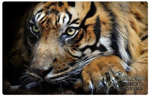 Иванов Александр