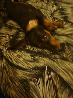 Милый Ангелочек!!!