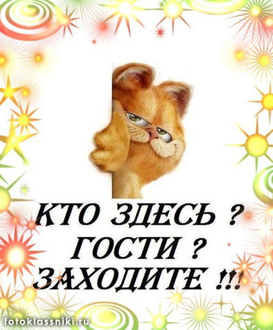 Светлана Майорова