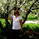 Елена Молчанова