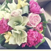 Салтанат Кобеева