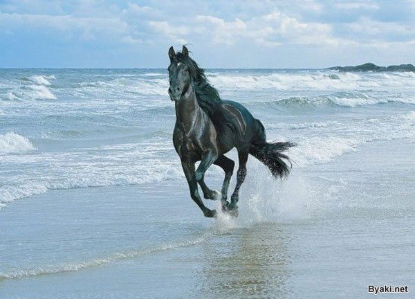 Елена Марфина