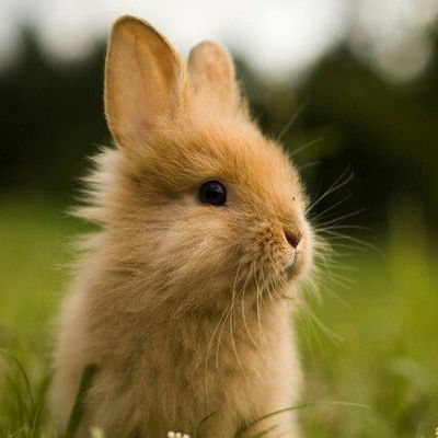 Марианна Сытникова