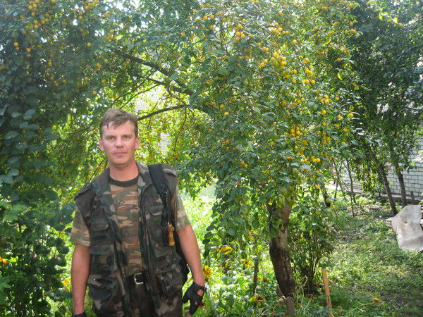 Дмитрий Петушков