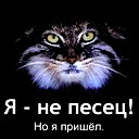 Kot Чешир