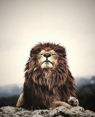 Татьяна Тропина