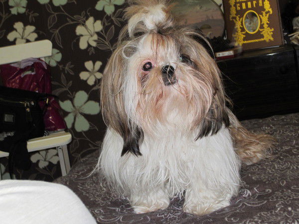 Татьяна Украинская