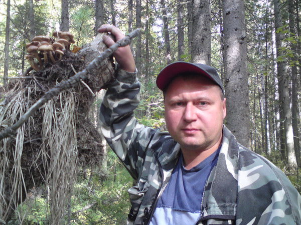 Руслан Гупало