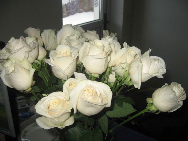 Ирина Кислова