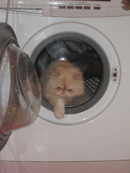 Ксения Муляр