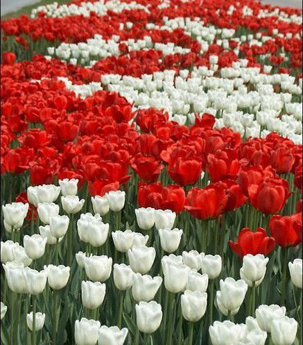 Ирина Шакирова