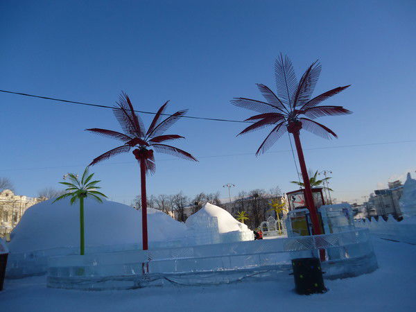 Светлана Постникова