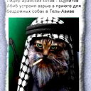 Дмитрий Устюжанин