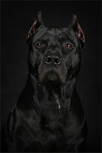 Андрюшка )))