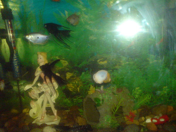 Канат Тогызбаев