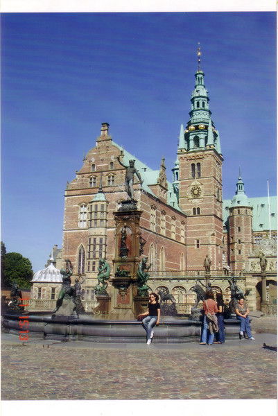 Елена Толоконникова