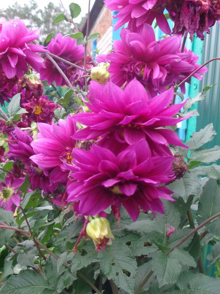 Ольга Викторовна Юрьева