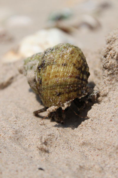 Неизвестно Неизвестно