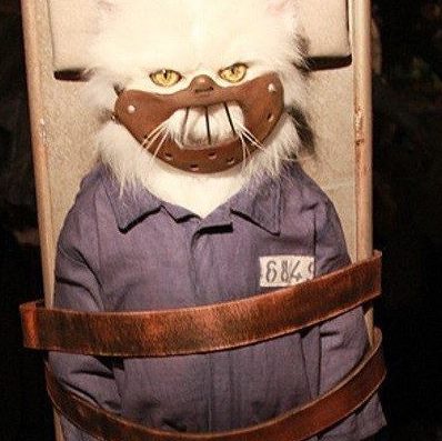 Мец Местный