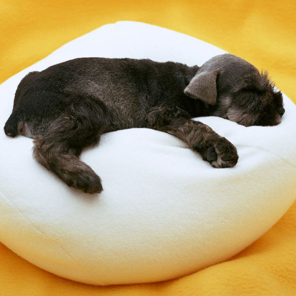 Карина Новикова