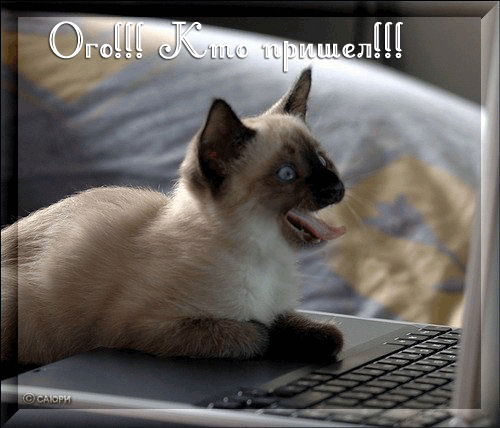 Сергей Александрович