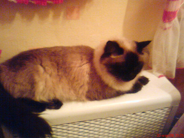 Ольга Мартыненко