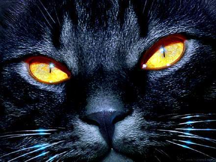 Жанна Силинская