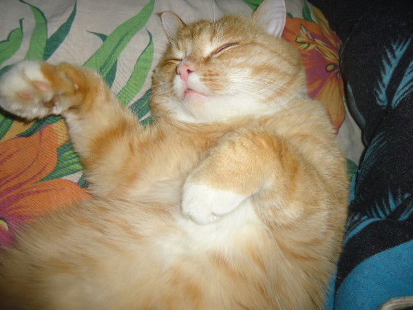 Виктор Леонов