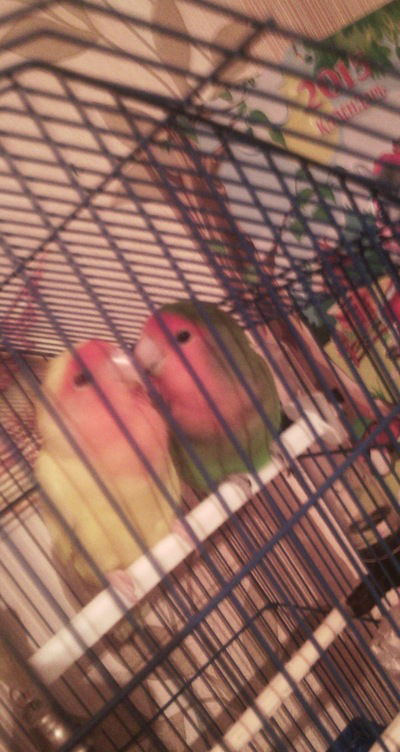 Екатерина Евсеева