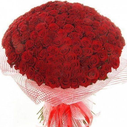 Анар Раимова