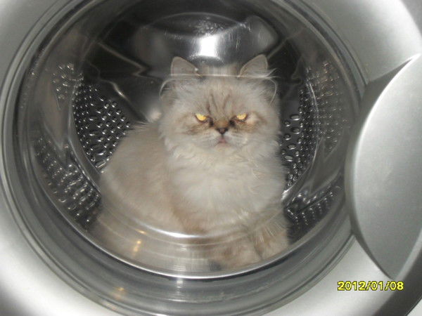 Анна Лесникова