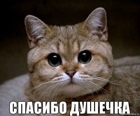 Елена Тишаева