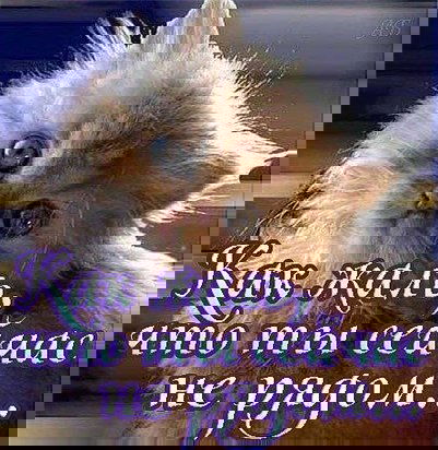 Альбина Пирмагомедова