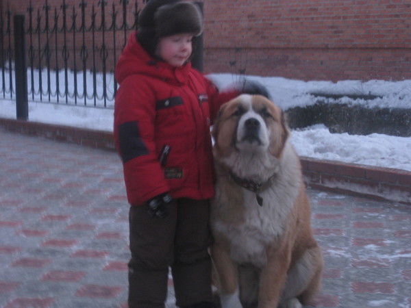 Сергей Семыкин