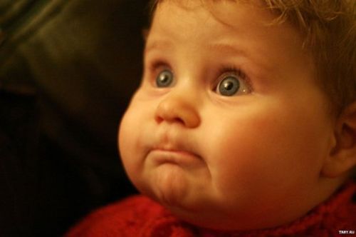 Светлана Литвинова