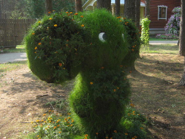 Владимир Гришанов