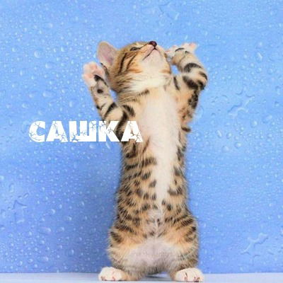 Дарья Гребнева