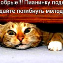 Диана Глыбишина