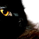 Елена Иваничкина