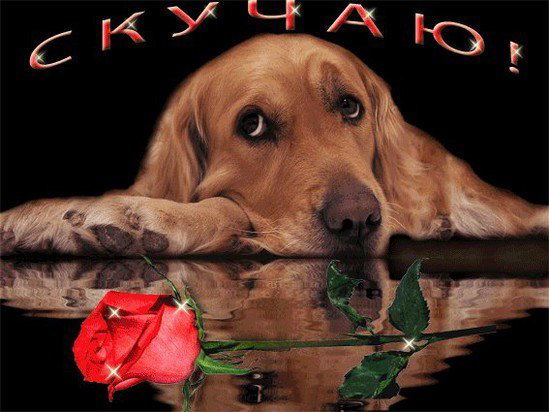 Зара Селимханова