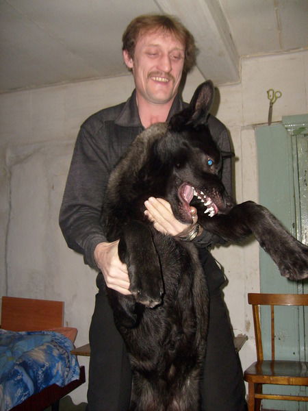 Миша Давыдов