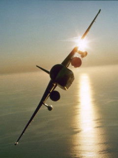 Игорь Домокуров