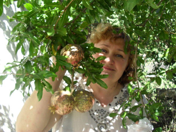 Света Соколюк