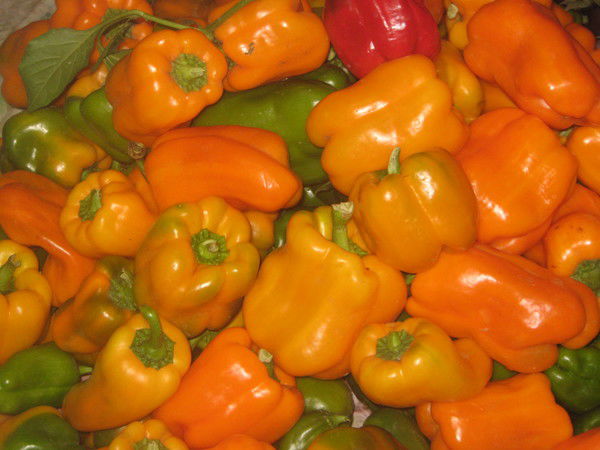 Лилия Ахметгараева