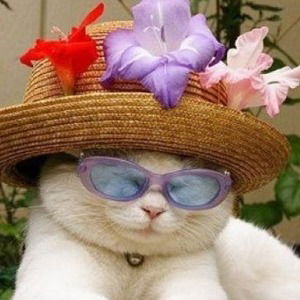 Кристина Левашова