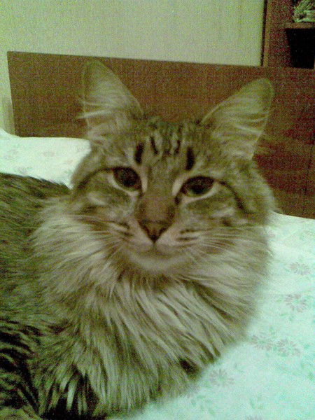 Олег Тихонов