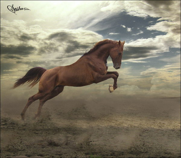 Аматов Табылды