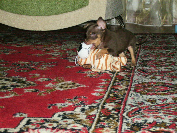 Кристина Гальцова